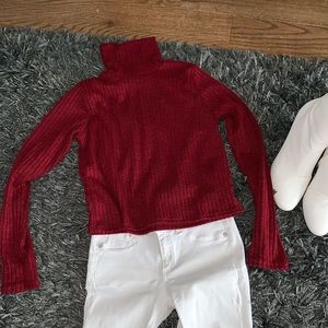Slightly Cropped Burgundy Turtleneck NWOT